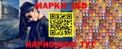spice Заволжье