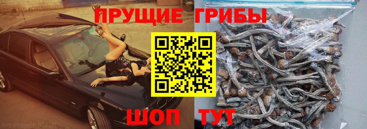 Псилоцибиновые грибы мицелий Малоярославец
