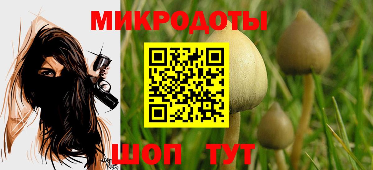 Псилоцибиновые грибы мицелий  Вход с VPN  Малоярославец  Псилоцибиновые грибы мухоморы 