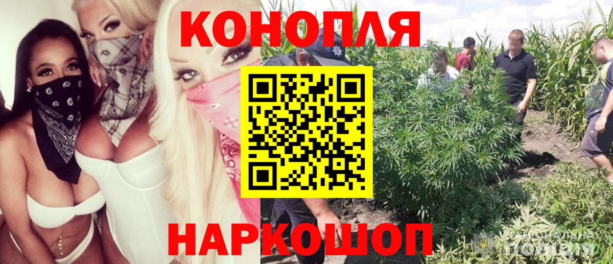 Марихуана планчик  Вход с VPN  Малоярославец  Бошки Шишки конопля 